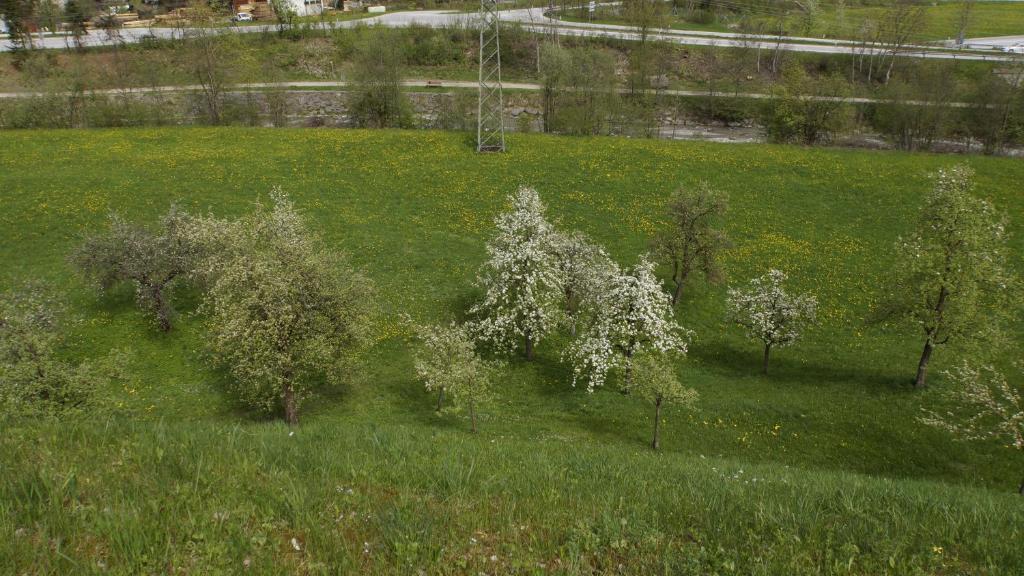 Haus Peter Schiestl Διαμέρισμα Zell am Ziller Εξωτερικό φωτογραφία